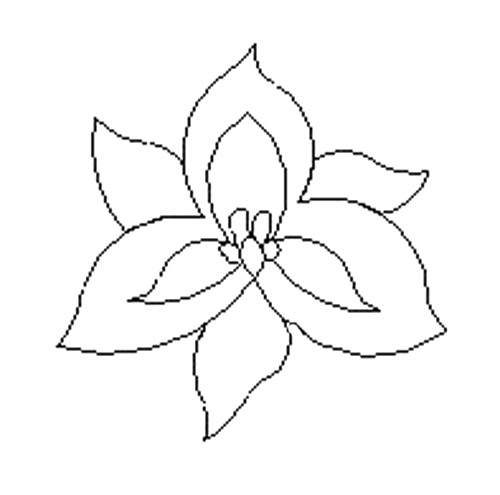 Trillium Flower - Click Image to Close