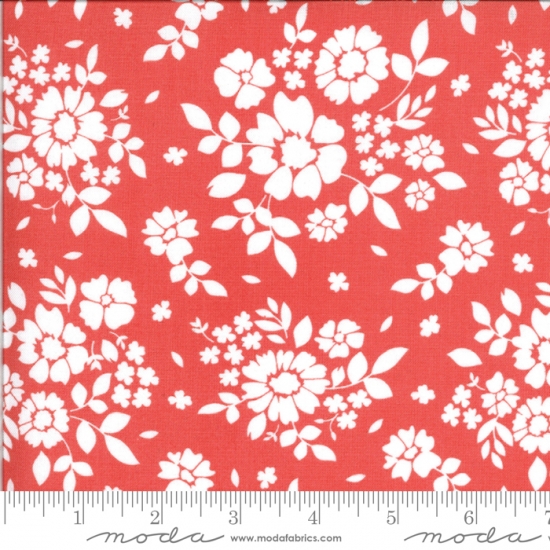 Canning Day, 108" Wide Backing by Moda SKU 11159 22 - Click Image to Close