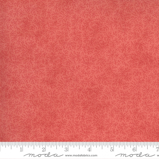 Bloom Blush Sanctuary 44254-12 3 Sisters Fabric is sold in 12 yard increments and cut continuously